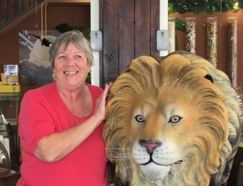 Lion Pen and a lion in  Salou 2018